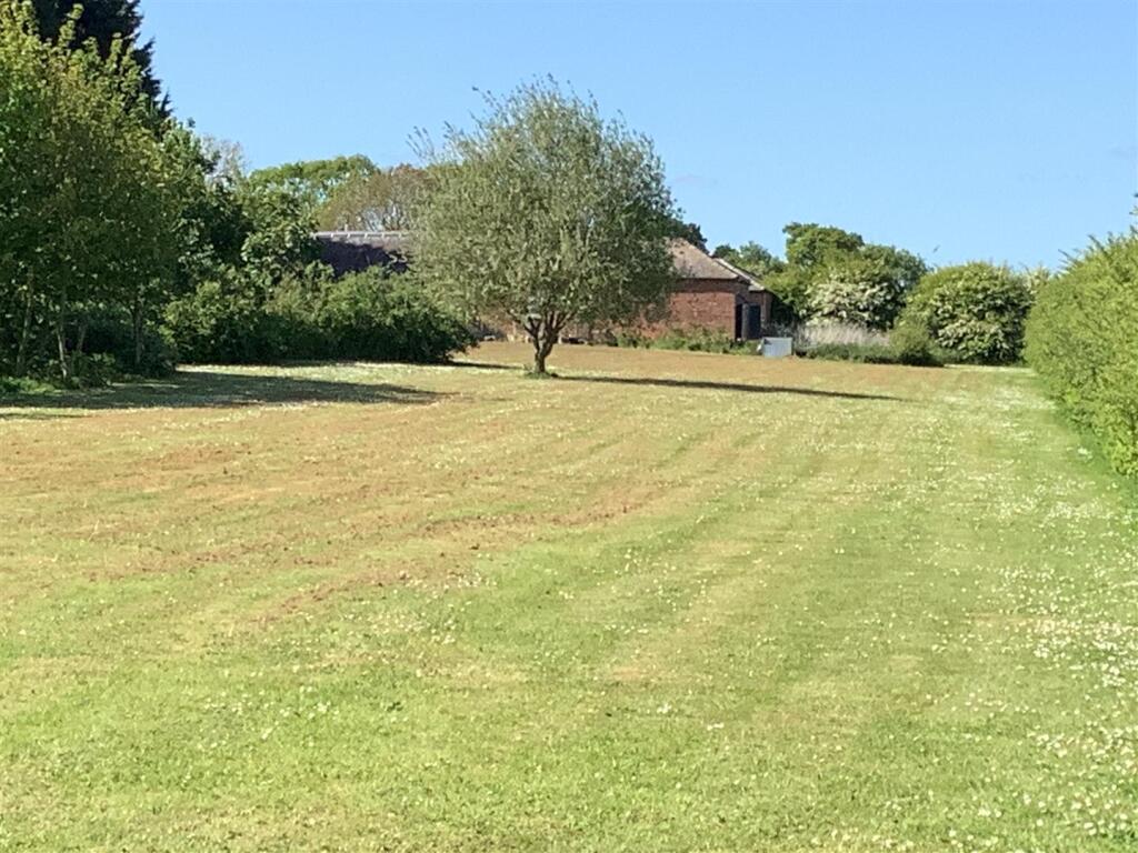 field.jpg