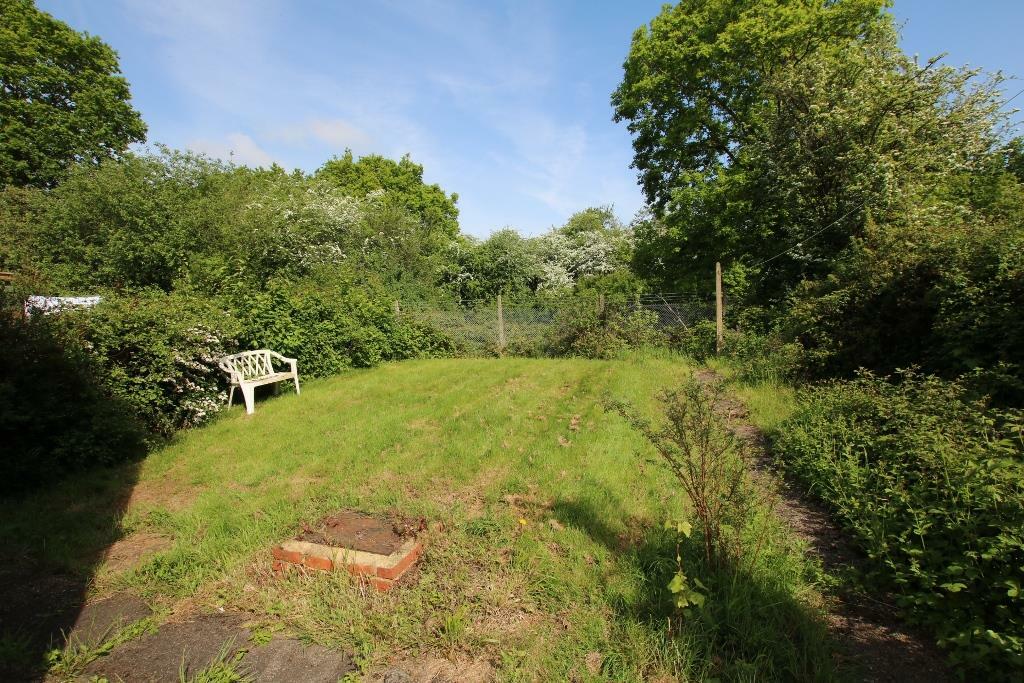 GARDEN.JPG