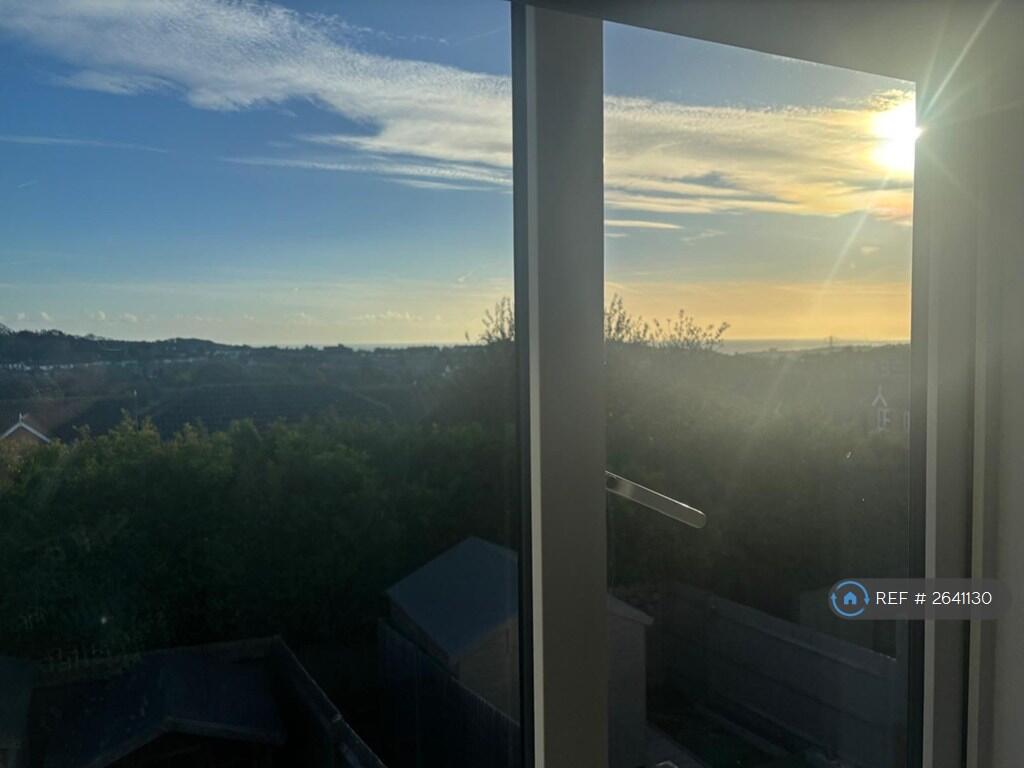 View From 2nd Bedroom Wondow