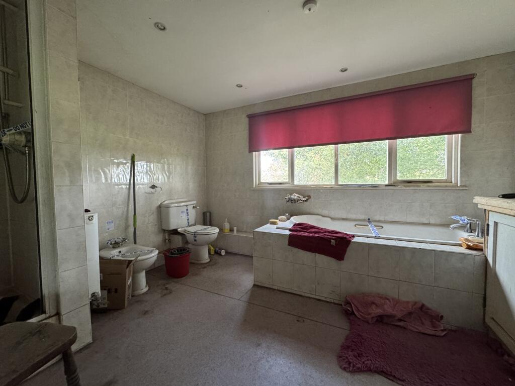 IMG 1778 T202509101640.jpeg