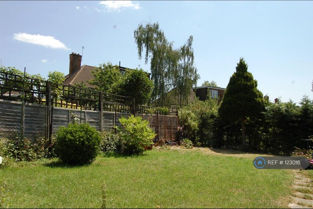Back Garden