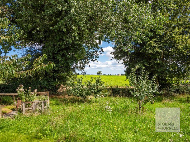 Field Views