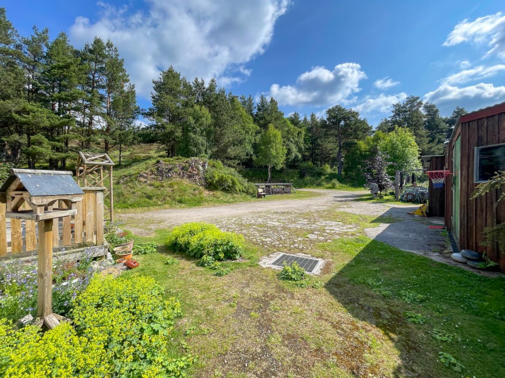 Driveway &amp; Parking