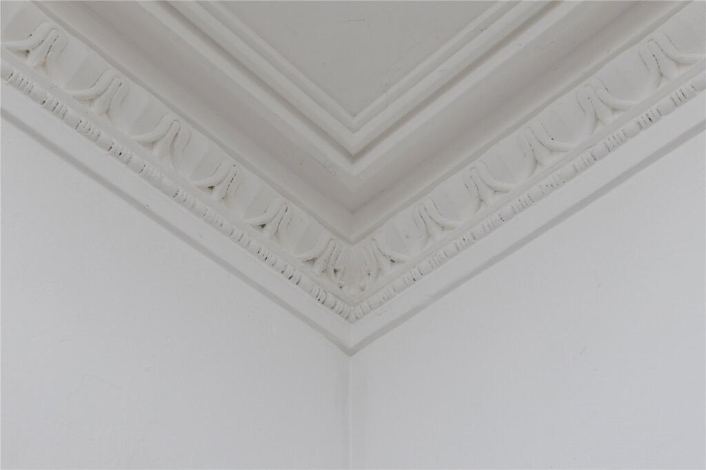 Ornate Cornicing