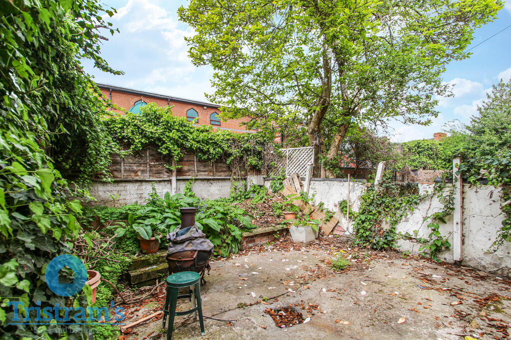 Untitled design (...