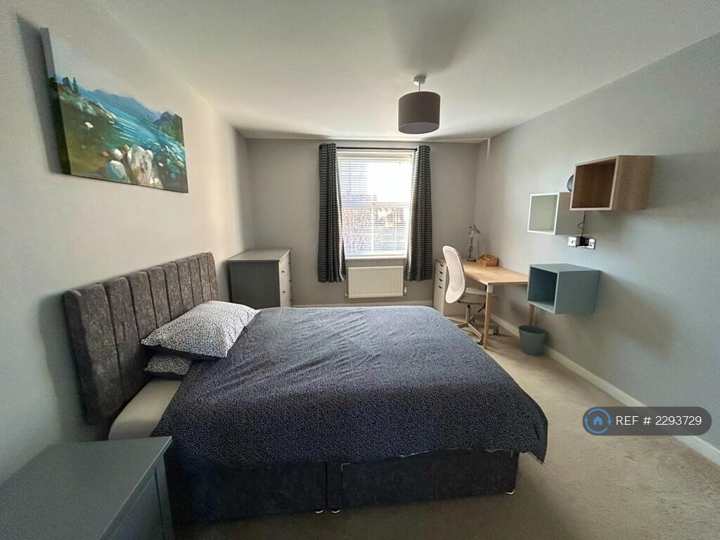 Room 5