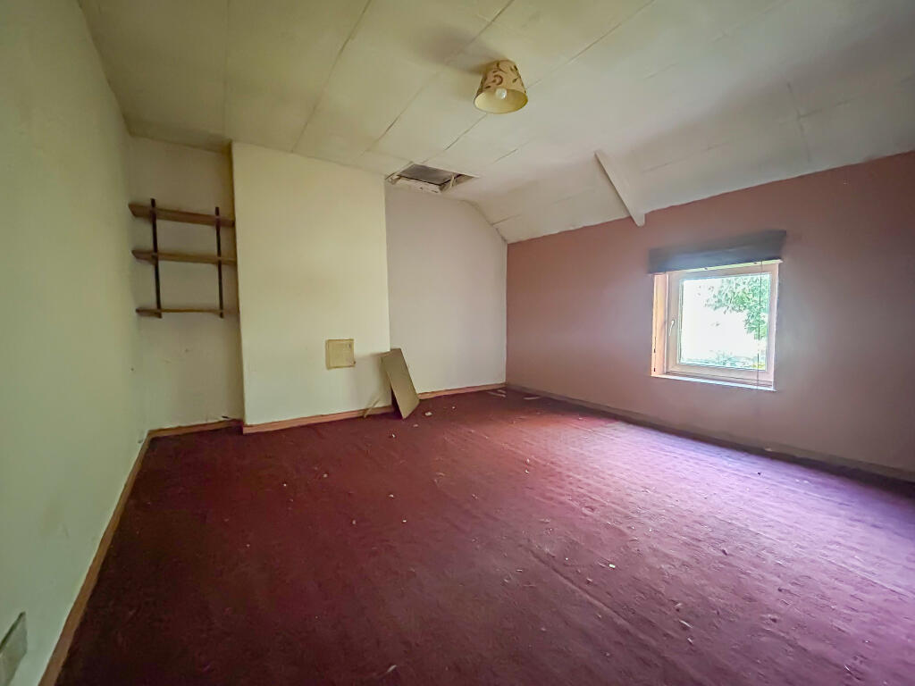 IMG 6890 T202510100926.jpg