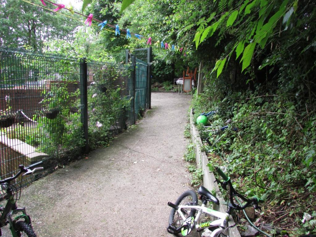ClarksfieldSt13yard.JPG