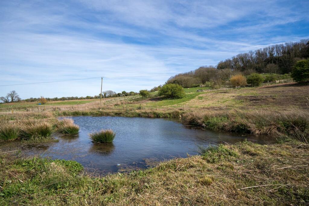 Pond