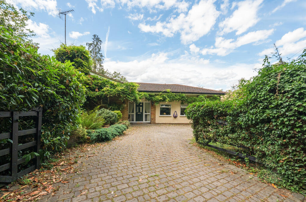 1313636-1-6866903...