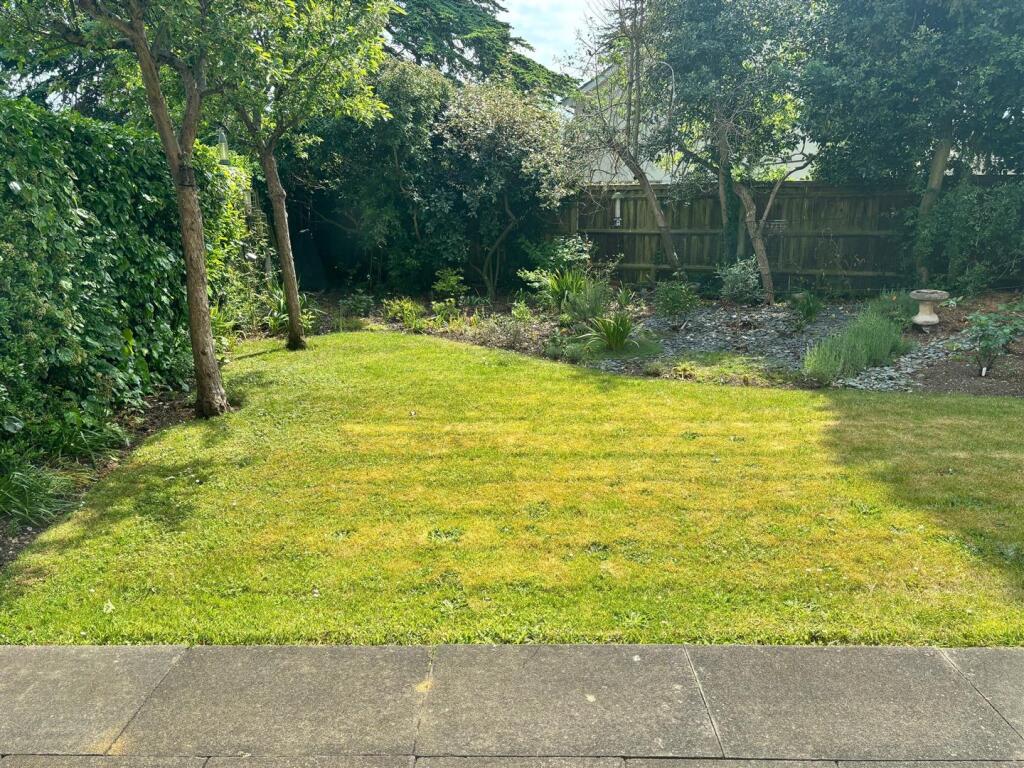 view from patio door