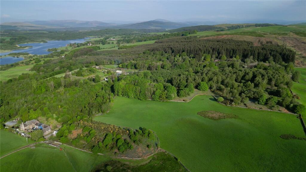 Parton Woodland