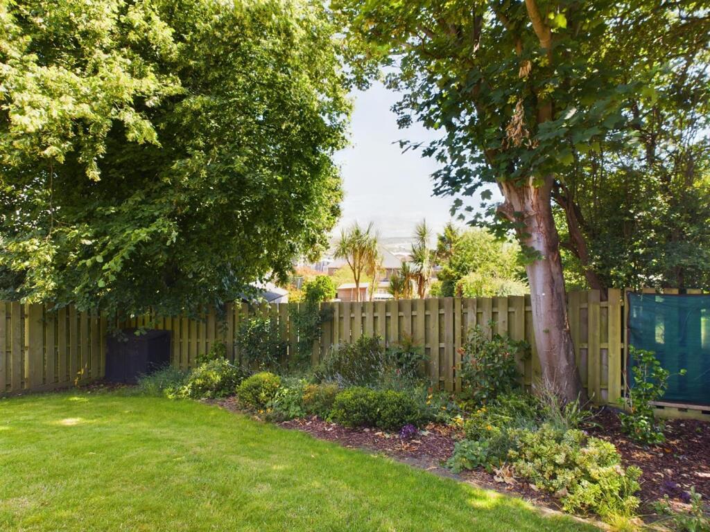 garden 1 .jpg
