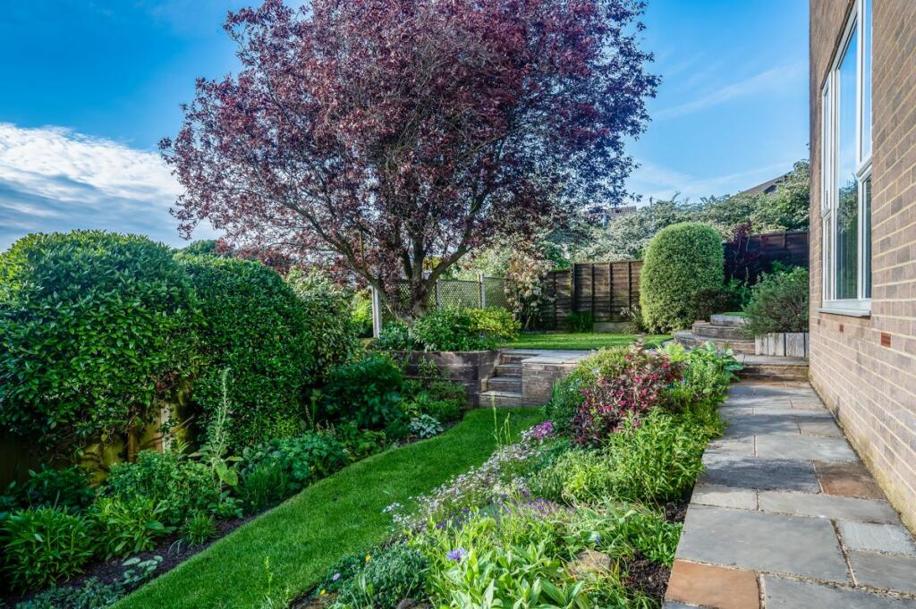Back Garden 