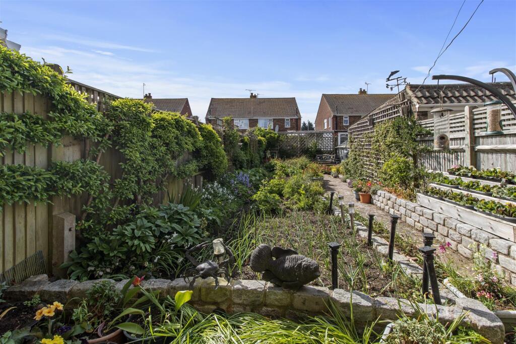 garden #2.jpg
