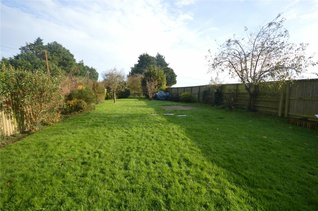 Back Garden