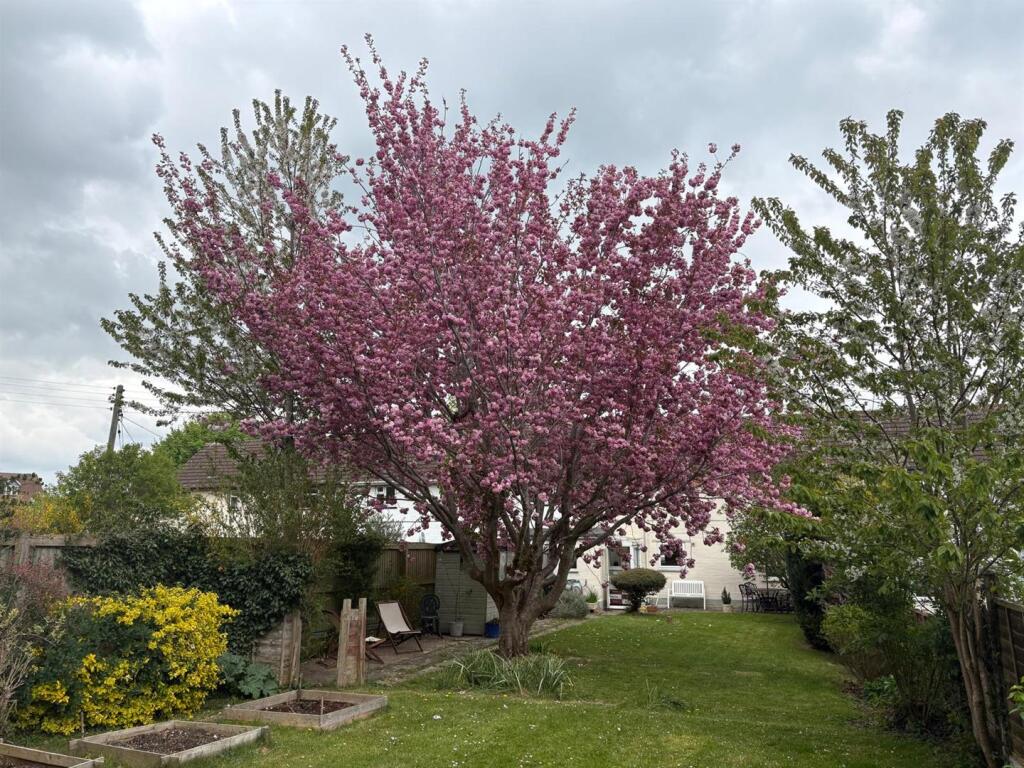 WhatsApp Image 2025-04-15 at 16.39.43_778c85c1.jpg