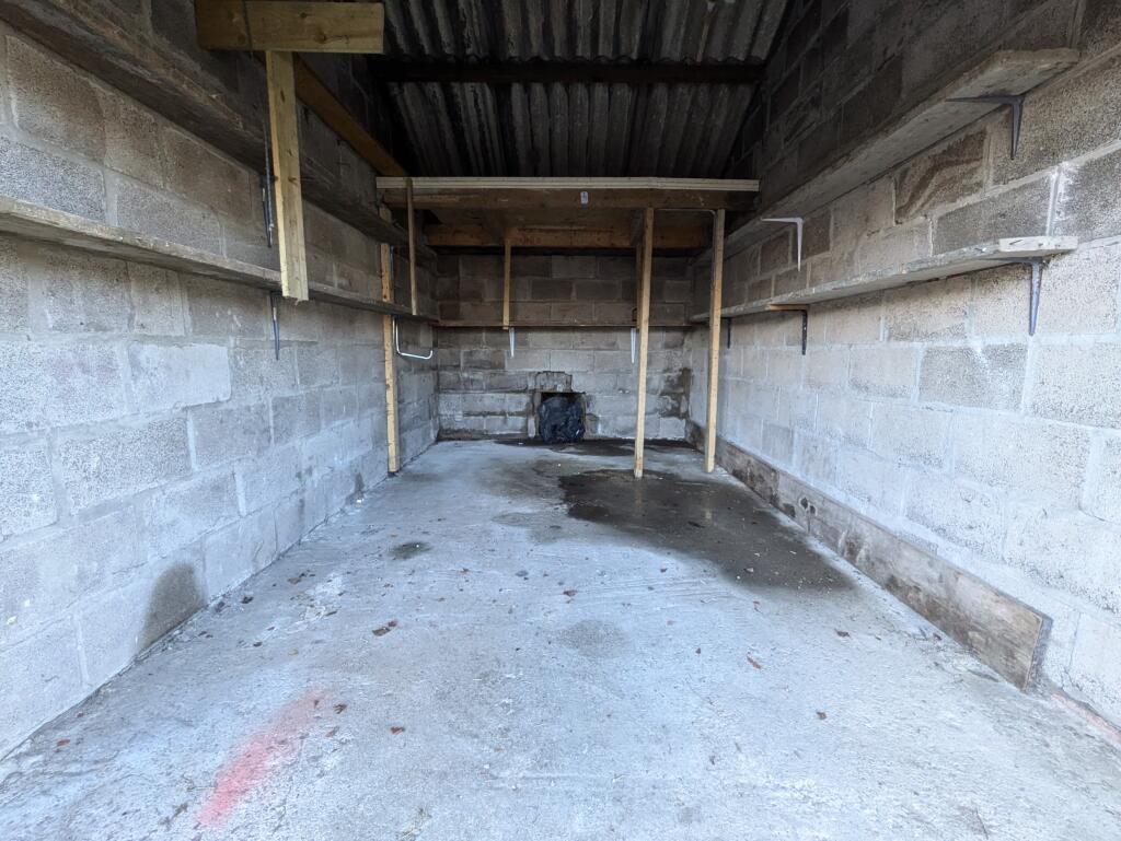 PXL_20250131_114653855.MP