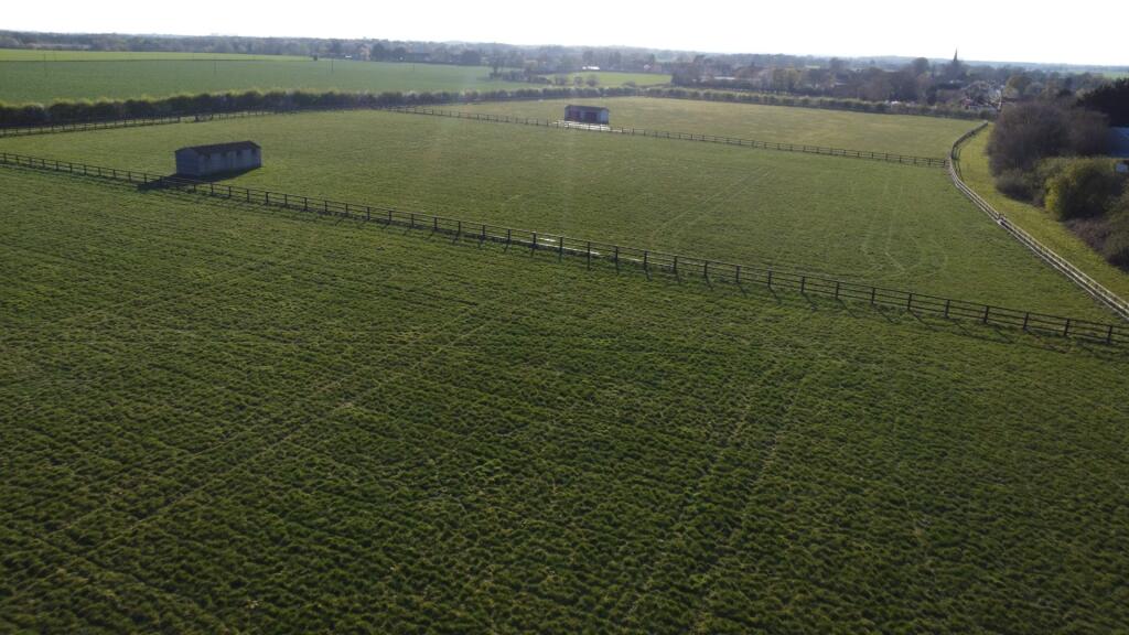 DJI 0804 T202504091805.jpg
