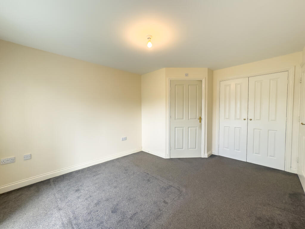 IMG 0252 T202510271353.jpg