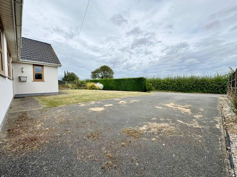 Front garden and driveway