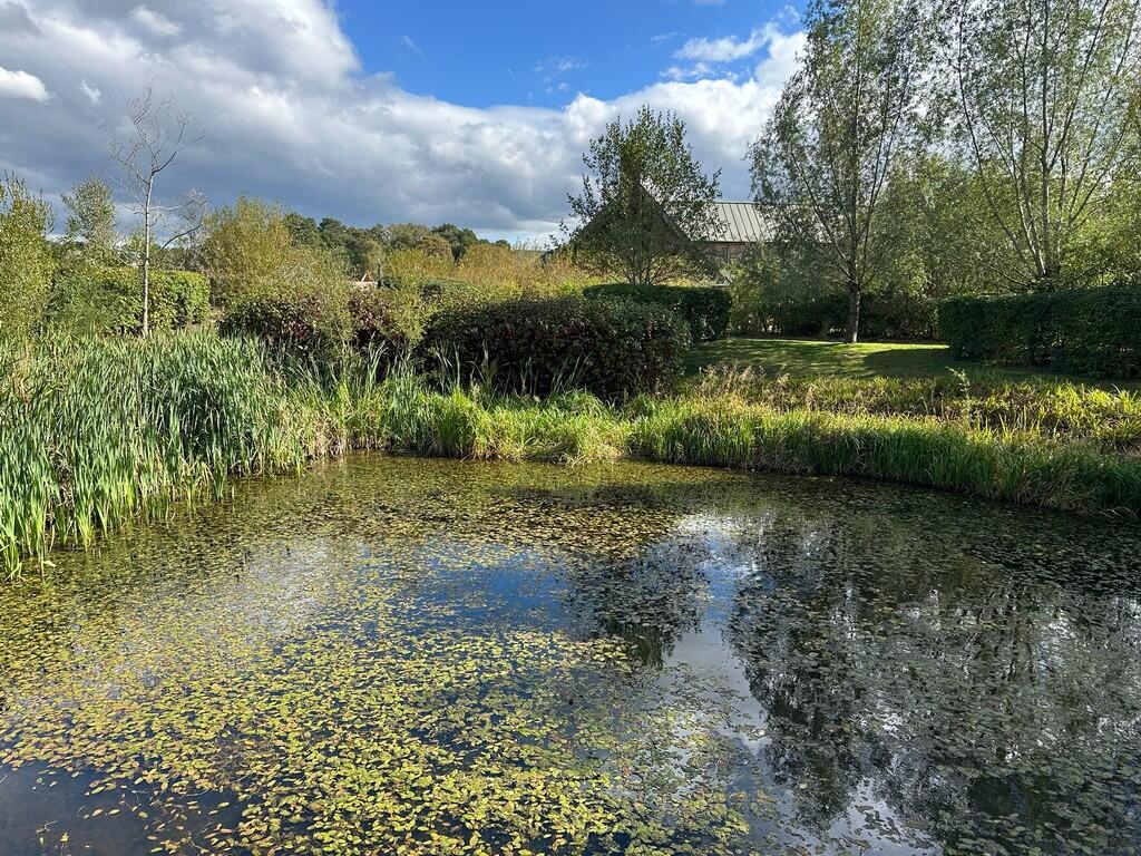 IMG-20250924-WA00...