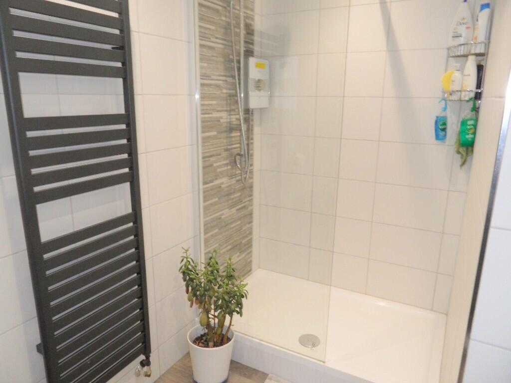 DOWNSTAIRS SHOWER RM