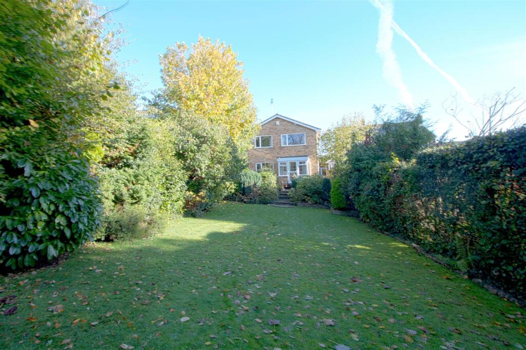 garden2.jpg