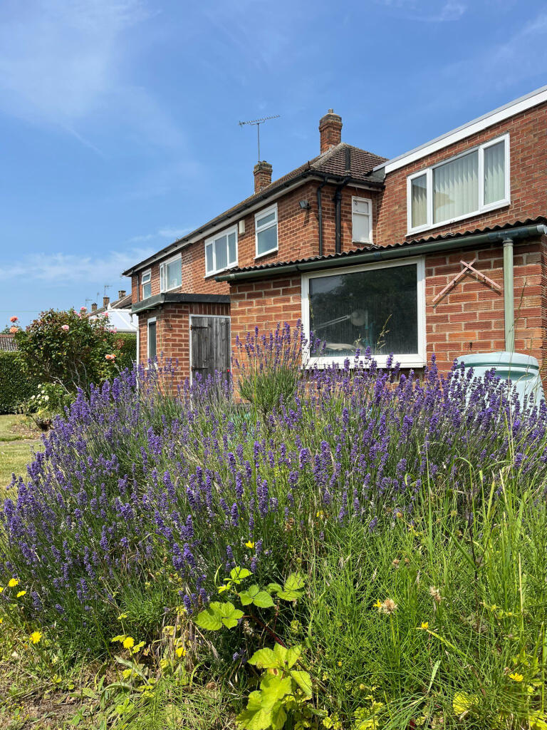 WhatsApp Image 2025-06-18 at 13.13.47_ba3f0676