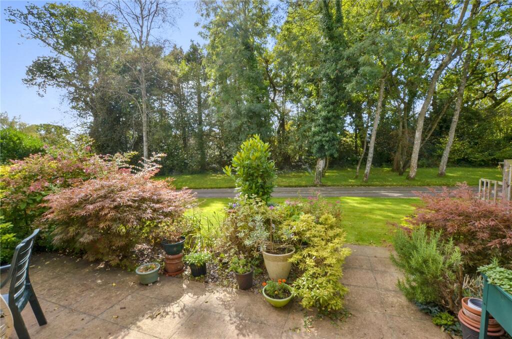 Rear Patio