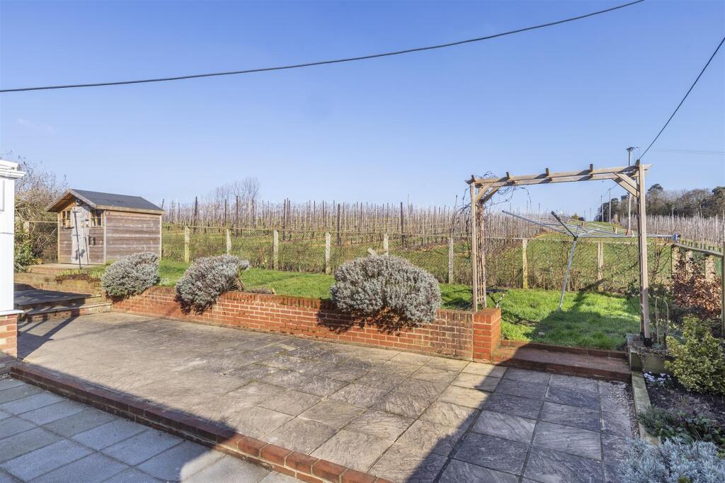 Back Garden
