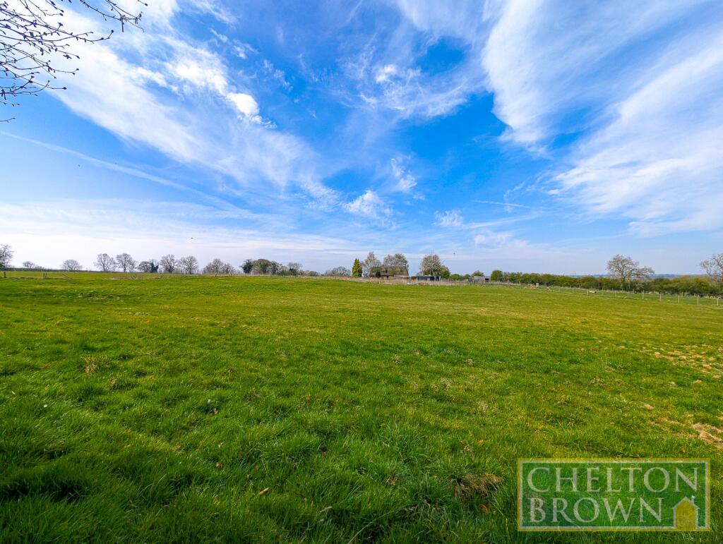 Field