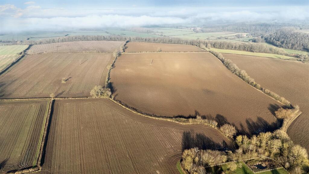 DJI_20250115140621_0006_Ddefault.jpeg