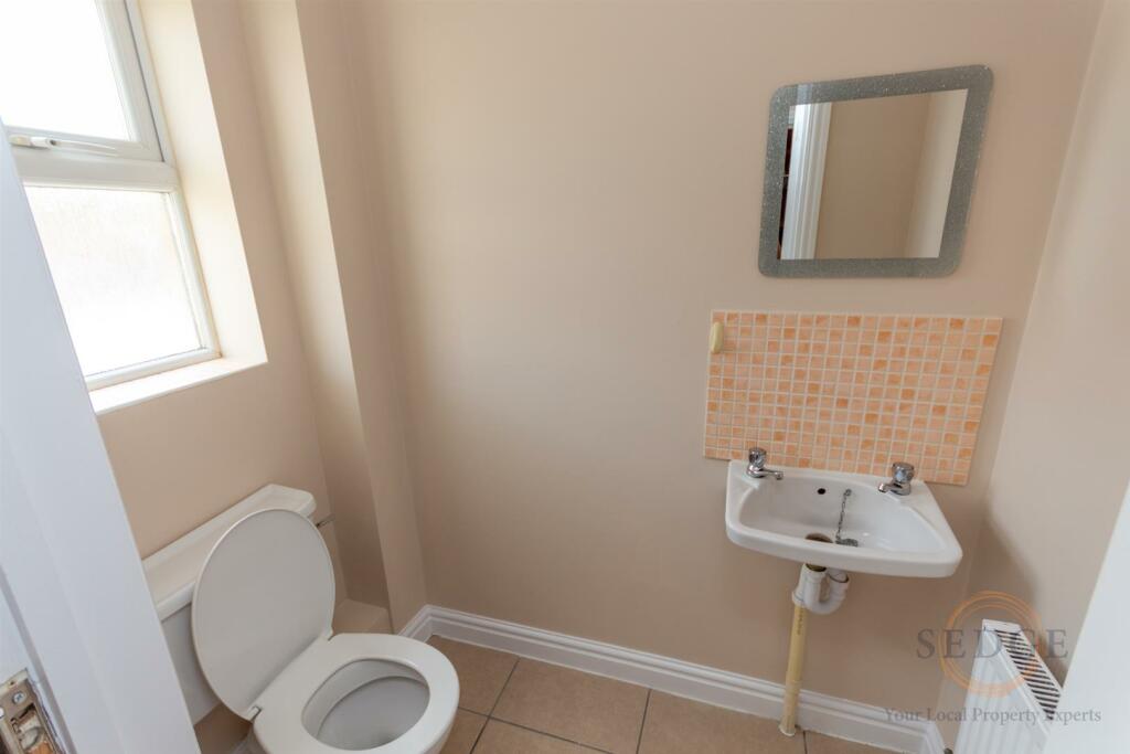 1 swan close-03.jpg