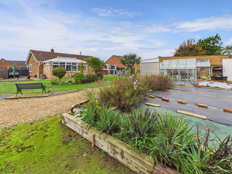 Vegetable Garden