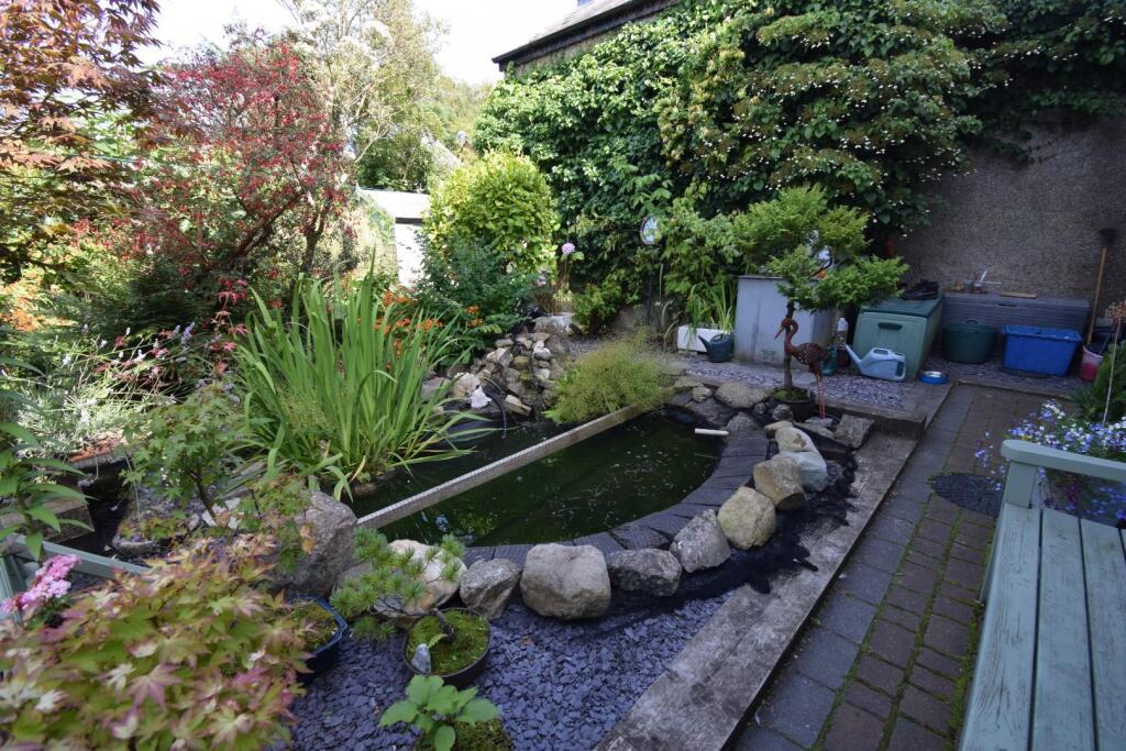 Back Garden (2).JPG