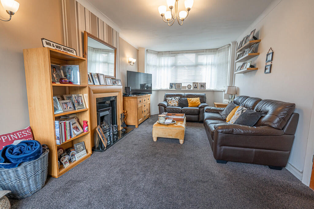 20250307-DSC03169...