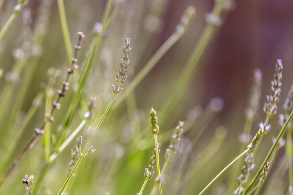 5F8A4892-Enhanced-NR