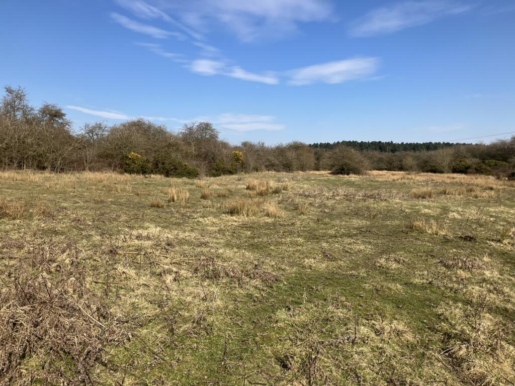 Land