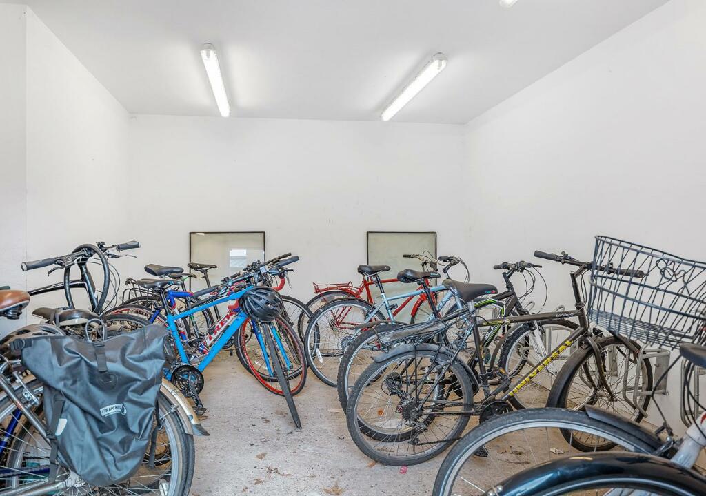Bike store.jpg