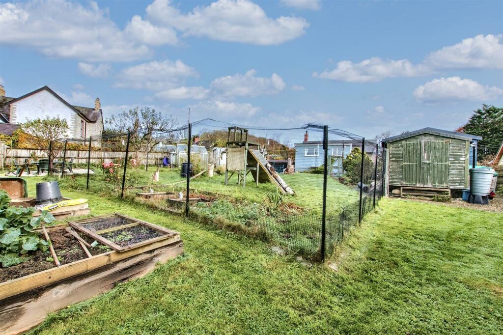 garden and cat run