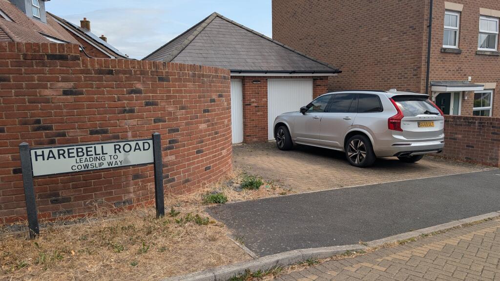 PXL_20250714_1048140