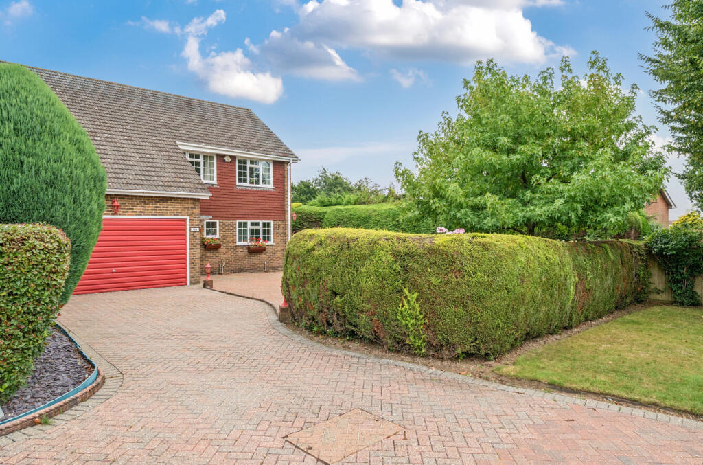 1334996-16-689496...