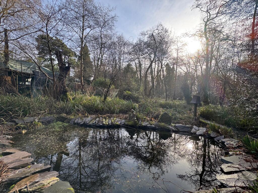 Pond