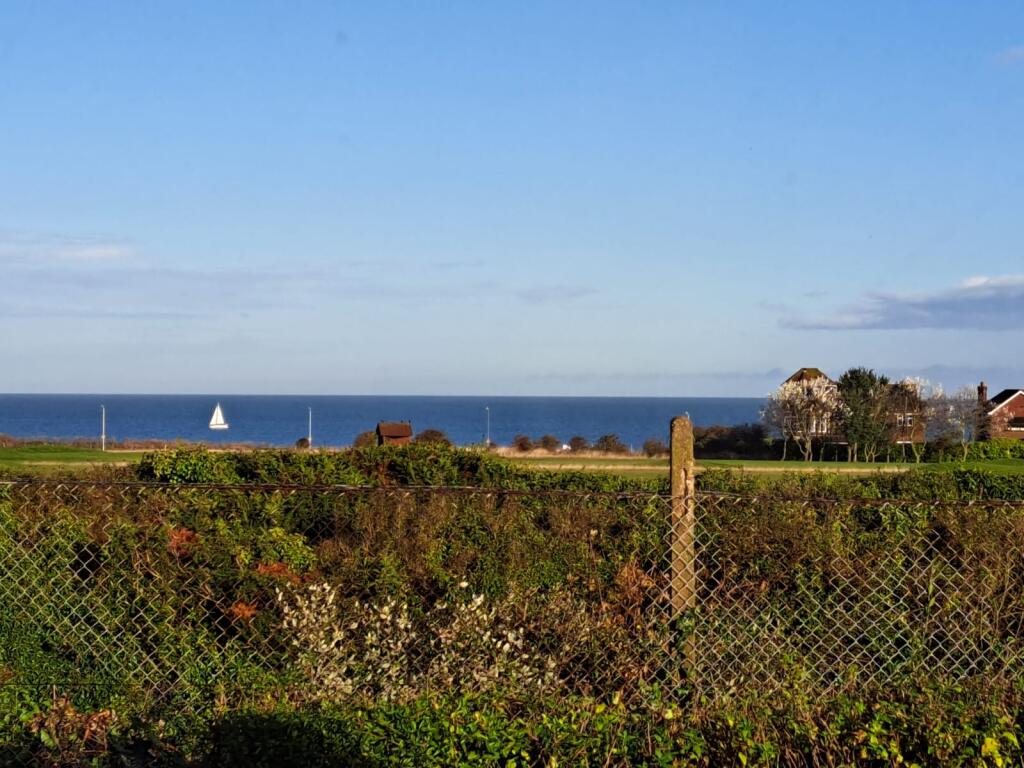 general IMG-20241031