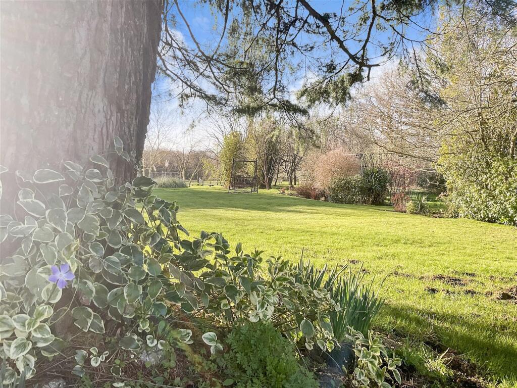 Garden 9