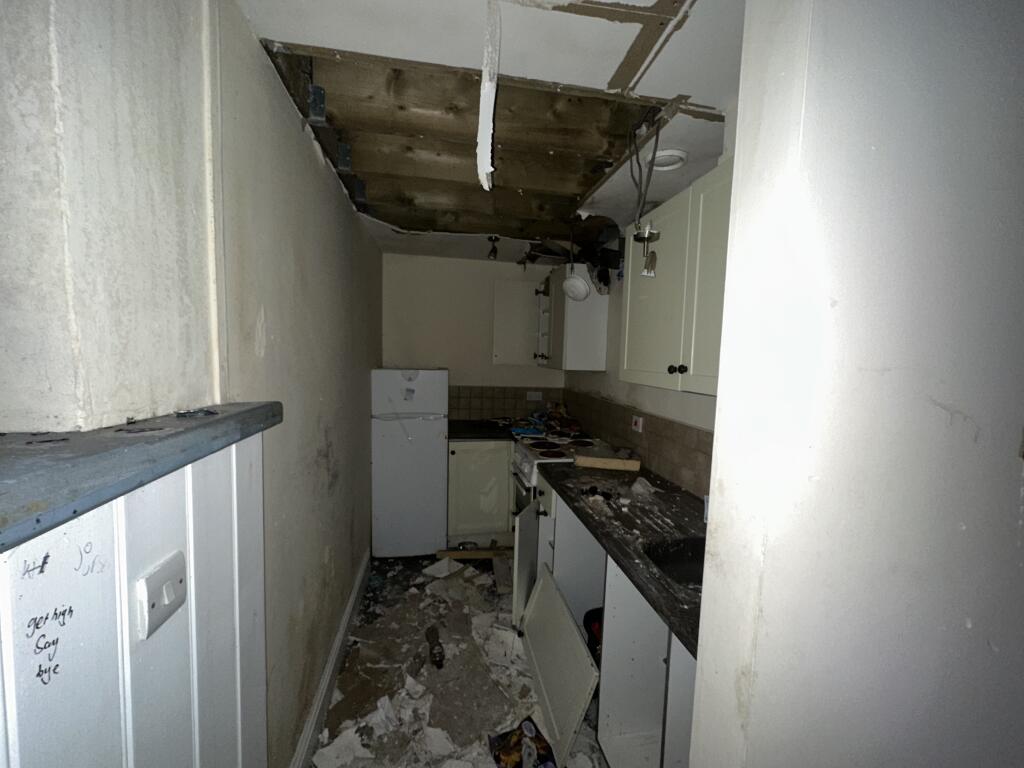 IMG 2447 T202503111600.jpeg