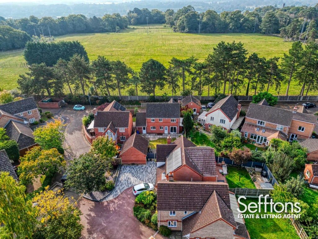 DJI_0654_6