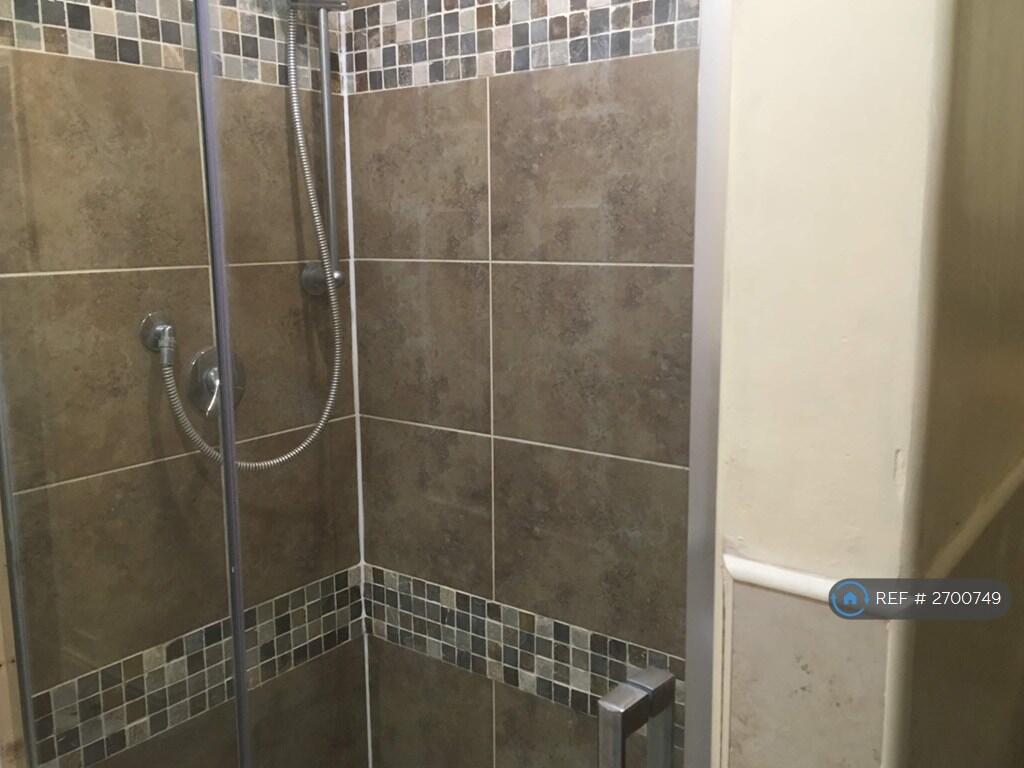 Downstairs Shower And Toilet