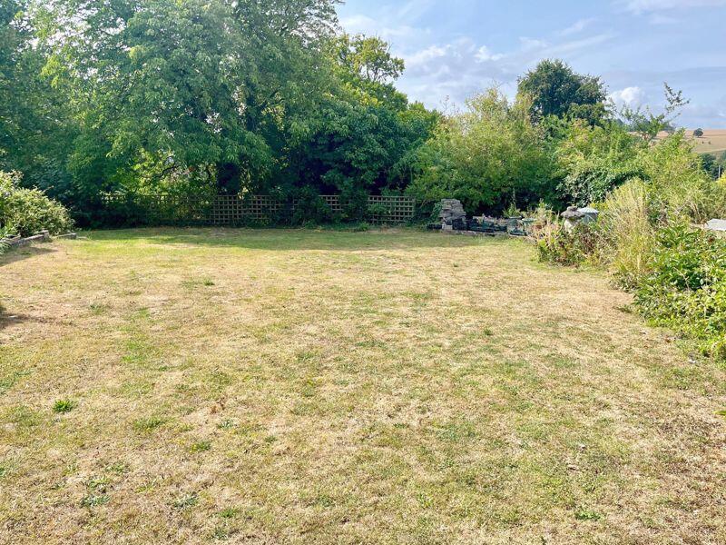 The Front Garden